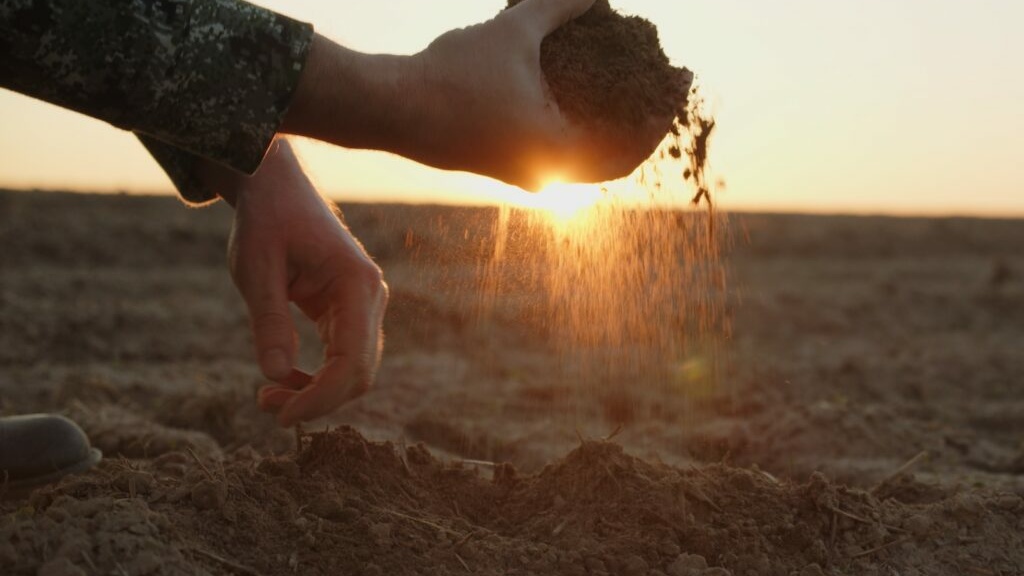 A hand holding a clump of soil